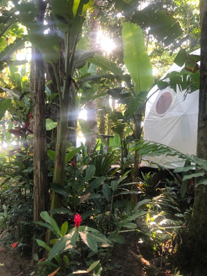 Hotel Faith Glamping Dome Costa Rica Manzanillo  Esterno foto