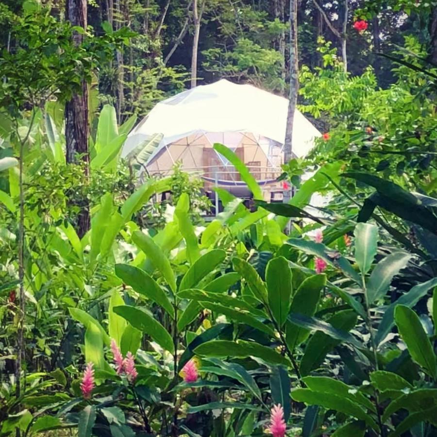 Hotel Faith Glamping Dome Costa Rica Manzanillo  Esterno foto
