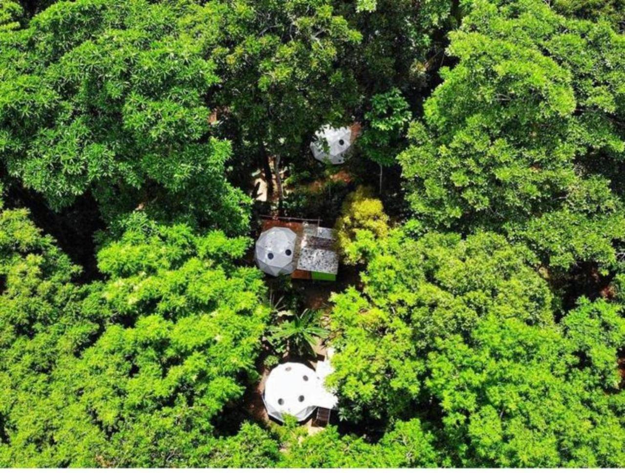Hotel Faith Glamping Dome Costa Rica Manzanillo  Esterno foto
